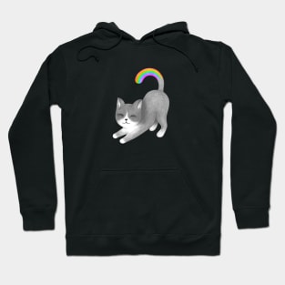 Rainbow Feline Cutie Hoodie